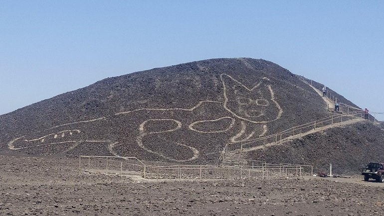 Arkeologlar Peru'da 2.000 yllk kedi figr kefetti! Boyu tam 37 metre...